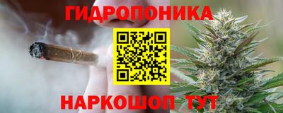 гашик Конаково
