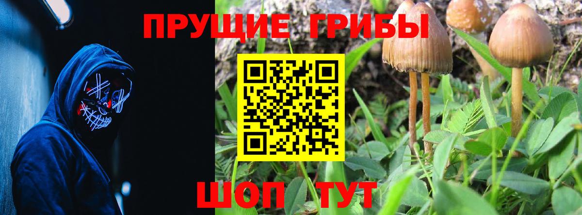 Галлюциногенные грибы мухоморы Камень-на-Оби