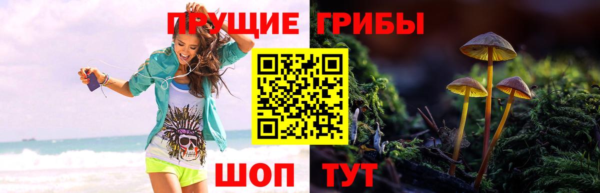 Псилоцибиновые грибы мухоморы  где можно купить   Камень-на-Оби  Галлюциногенные грибы Cubensis  Вход с VPN 